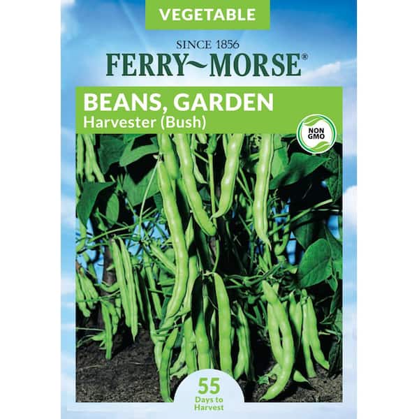 Ferry-Morse Bean Harvester Bush Fruit Seed