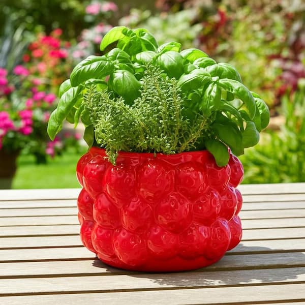 Sagebrook Home 8 in. Strawberries Flower Pot Red
