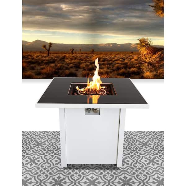 Unbranded 30 in. White Steel Propane/Natural Gas Fire Pit Table, 40,000 BTU Output, Stainless Steel Burning Zone
