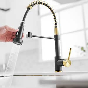 Single Handle Pull Down Sprayer Kitchen Faucet with Advanced Spray in Black and Gold