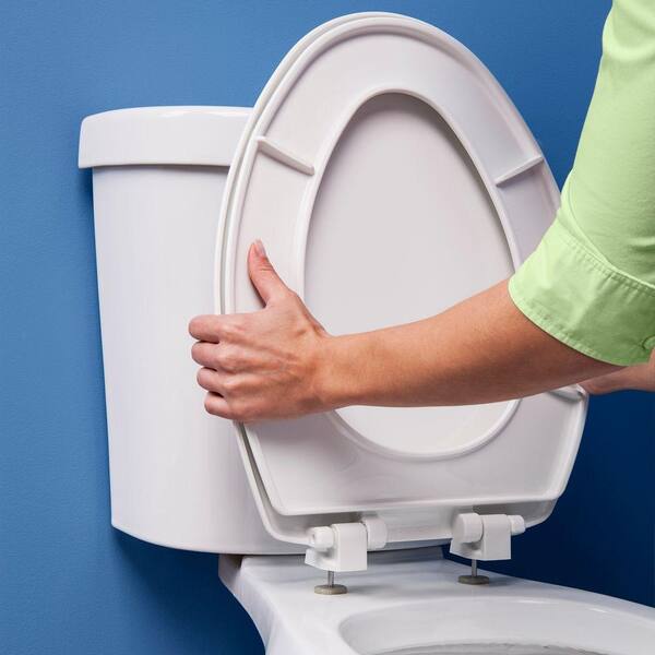 Bemis Just Lift Toilet Seat Review lujdecor