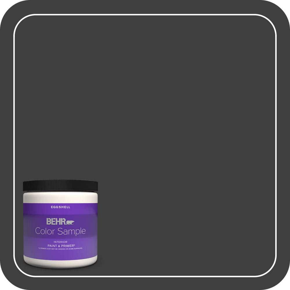 8 oz. Black Eggshell Enamel Interior Paint & Primer Color Sample price history on PriceWatchPro