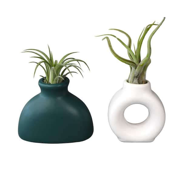 indoor plant window box Modern Succulent Planter With Saucer for Plant Window Box  Planet Desert