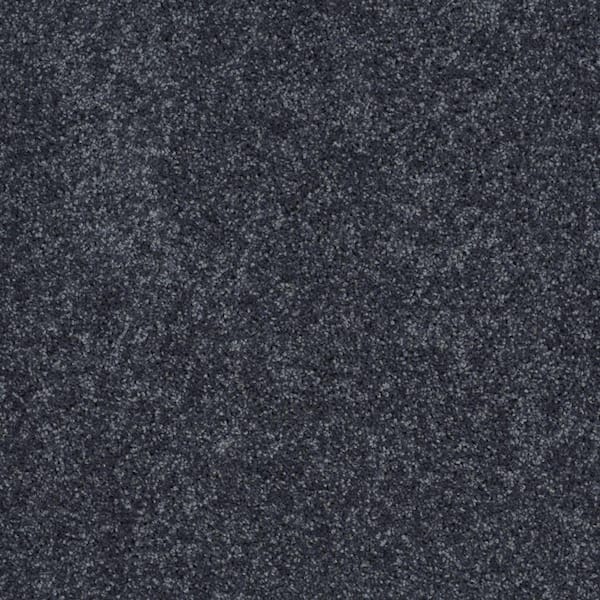 TrafficMaster Palmdale II - Sail Boat - Blue 31.2 oz. Polyester Texture Installed Carpet
