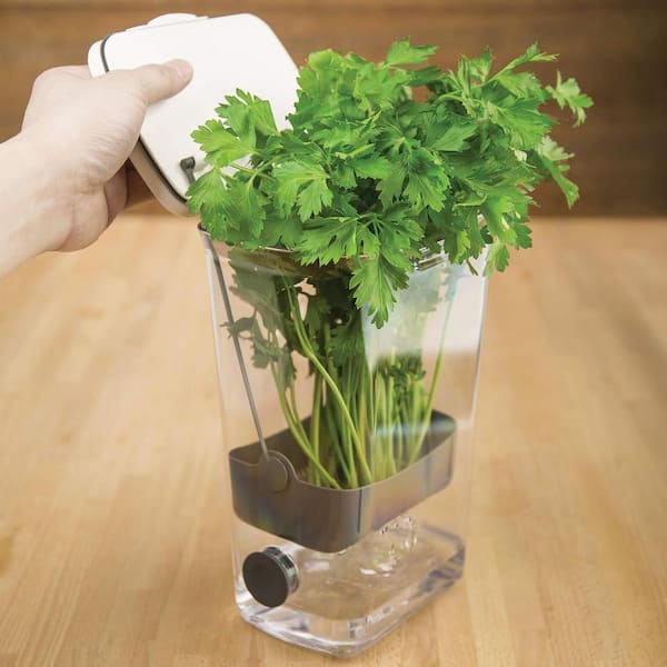 BPA Free Professional Herb Keeper with Removable Silicone Drain Plug in Clear
