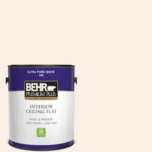 1 gal. #M210-1 Seed Pearl Ceiling Flat Interior Paint