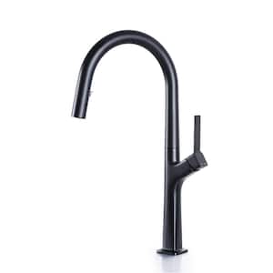 Single Handle Pull Down Sprayer Kitchen Faucet with Advanced Spray Brass Single Hole Kitchen Sink Taps in Matte Black