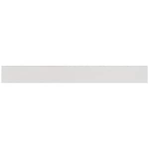 Forge Light Gray 2.83 in. x 23.62 in. Matte Porcelain Floor and Wall Bullnose Tile Trim