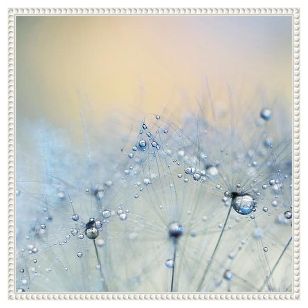 Amanti Art Ice blue by Ingrid Beddoes 22 in. W x 22 in. H. Canvas Wall Art Print Framed in White