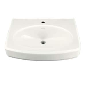 Pinoir Wall-Mount Vitreous China Sink Basin in White less Shroud