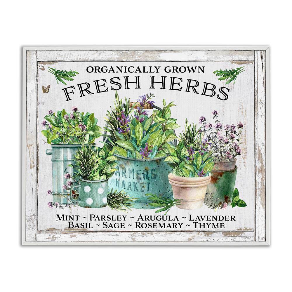 Organic Fresh Herbs by Creatif Belle White Framed Nature Giclee Art Print 24 in. x 30 in. price history on PriceWatchPro