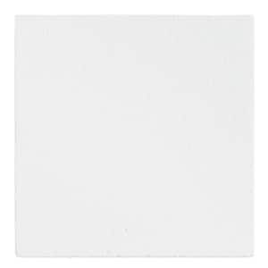 Plain White 6 in. x 6 in. Lay-in and Washable White Ceiling Tile Sample