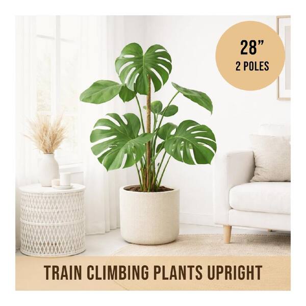 Primehome 28 Inch Bendable Moss Pole Plant Support 2 Pack
