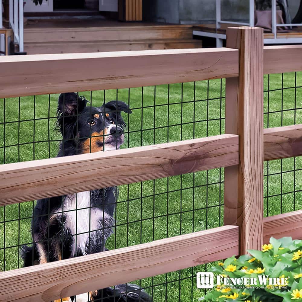 Black Vinyl Coated Welded Metal Garden Fence Wire Roll, 4 ft. x 50 ft.