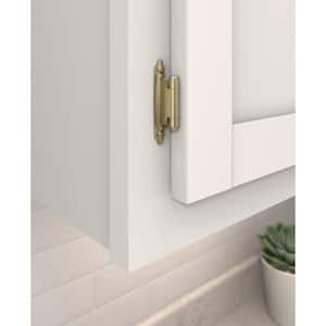 Golden Champagne Variable Overlay Self Closing, Face Mount Cabinet Hinge (2-Pack)