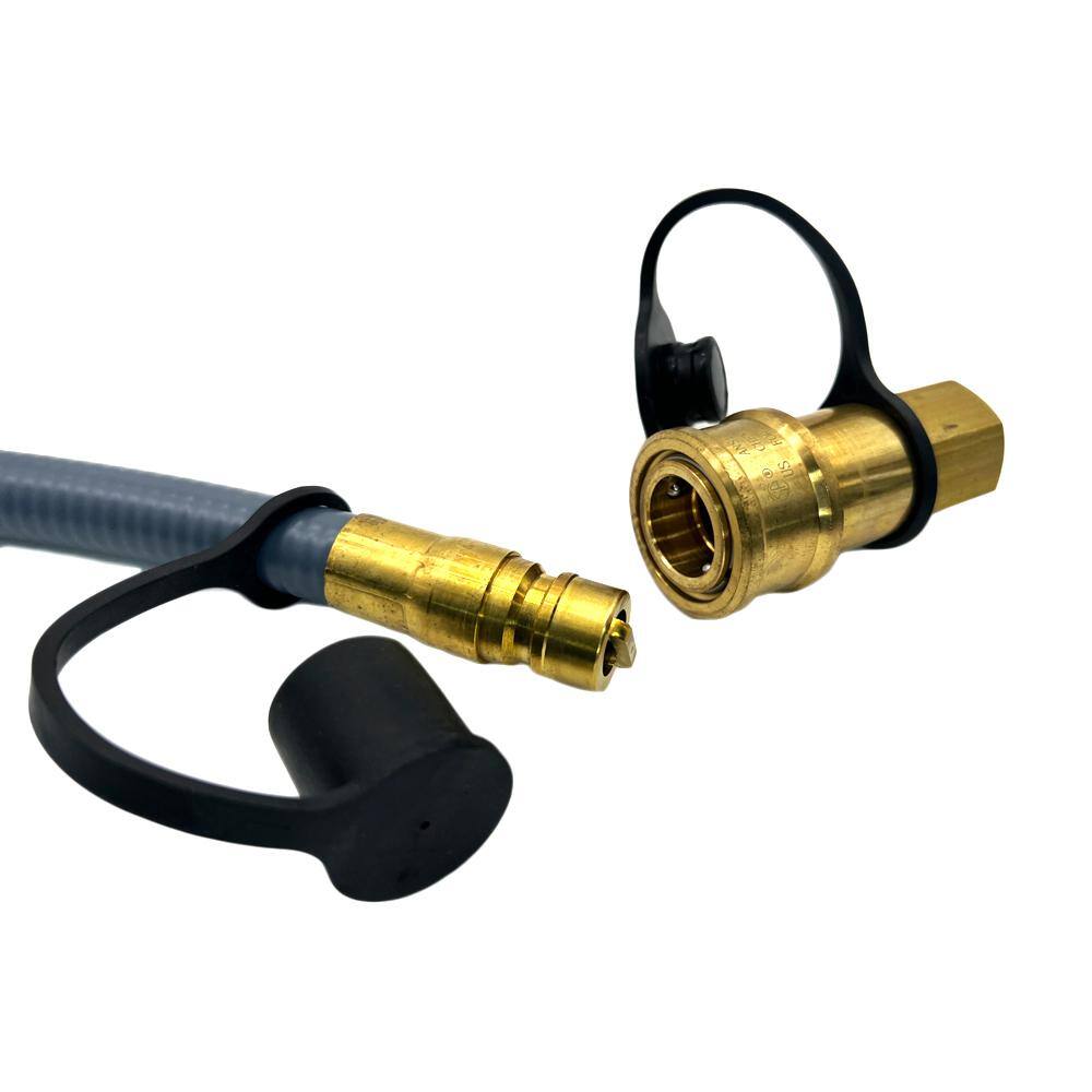Gray Natural Gas Hose and Regulator Conversion Kit