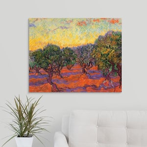 "Grove of Olive Trees" by Vincent Van Gogh Canvas Wall Art