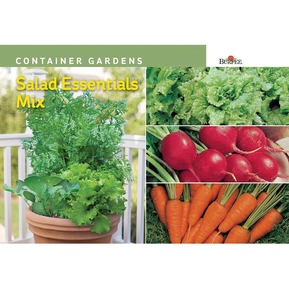 container seeds vegetables