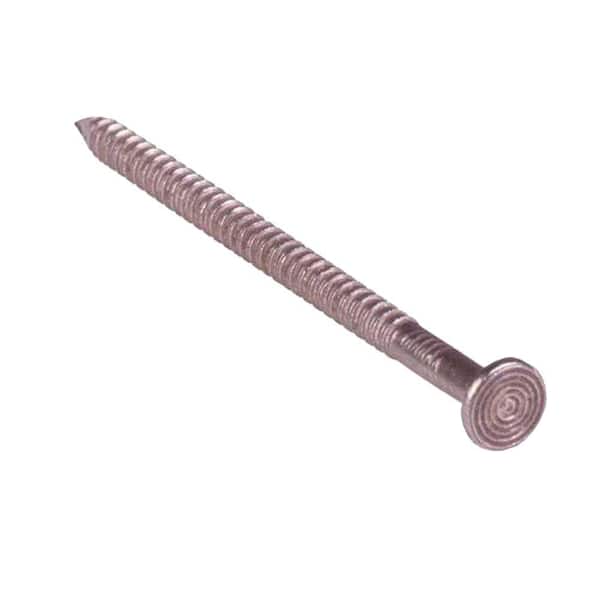 Grip-Rite #10 x 2-1/2 in. 8-Penny Stainless Steel Patio Deck Nails (1 lb.-Pack)