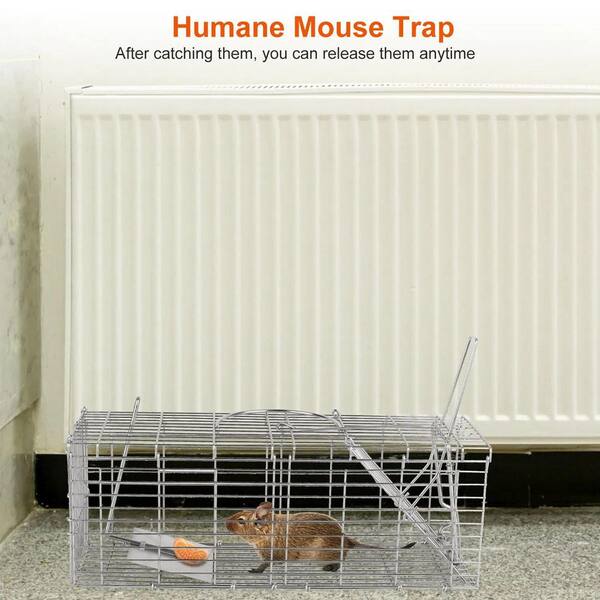 Unbranded - Foldable Indoor/Outdoor Rat Cage Trap Humane Live Rodent Galvanized Iron Control Bait Catch with Detachable L-Shaped Rod