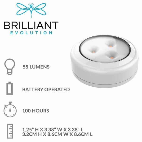 Battery Operated Light Bulbs with Remote, Battery Powered LED Puck Lights  with E26 Screw In, AA Battery Wireless Light Bulb for Non Electric Wall  Sconce,Pendant 