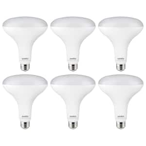 BR40 - Daylight - LED Light Bulbs - Light Bulbs - The Home Depot