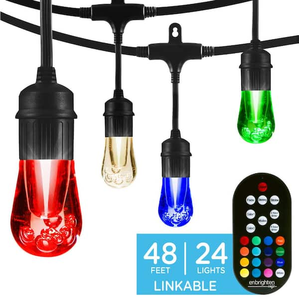 24 Bulbs 48 ft. Outdoor/Indoor Vintage Color Changing LED String Lights with Remote, Acrylic Edison Bulbs