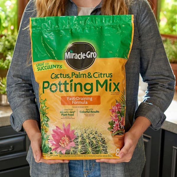 Miracle-Gro Cactus, Palm and Citrus Potting Mix 8 qt., Soil Great