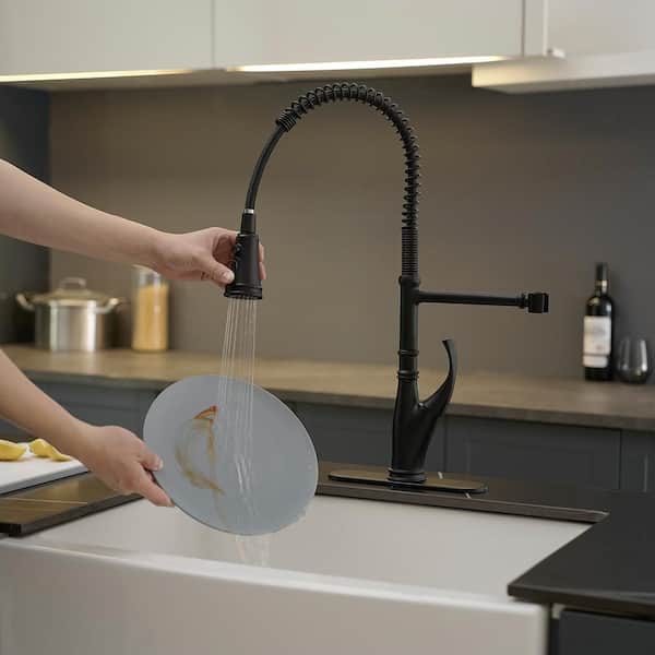 Single Handle Pull Down Sprayer Kitchen Faucet, Sing Hole SpringKitchen Sink Faucet with Plate in Matte Black
