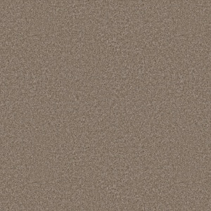 Rosemary II - Cottage-Beige 12 ft. 56 oz. High Performance Polyester Texture Installed Carpet