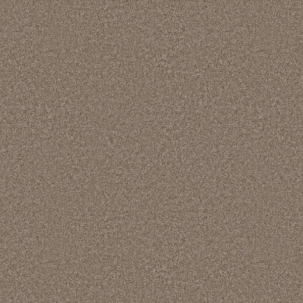 Rosemary III - Cottage-Beige 12 ft. 66 oz. High Performance Polyester Texture Installed Carpet