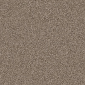 Rosemary I - Cottage-Beige 12 ft. 42 oz. Polyester Texture Installed Carpet