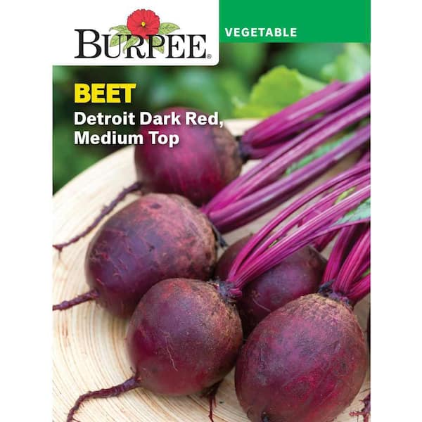 Beet Detroit Dark Red Medium Top Vegetable Seed