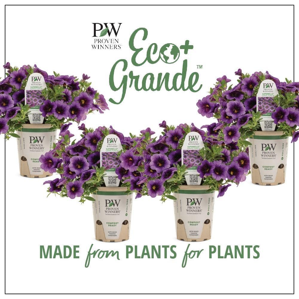 proven-winners-annual-flowers-