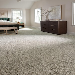 Radiant Retreat III Moonlit Gray 73 oz. Polyester Textured Installed Carpet