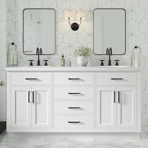 Hepburn 66 in. W x 21.5 in. D x 34.5 in. H Double Sinks Freestanding Bath Vanity Cabinet without Top in White