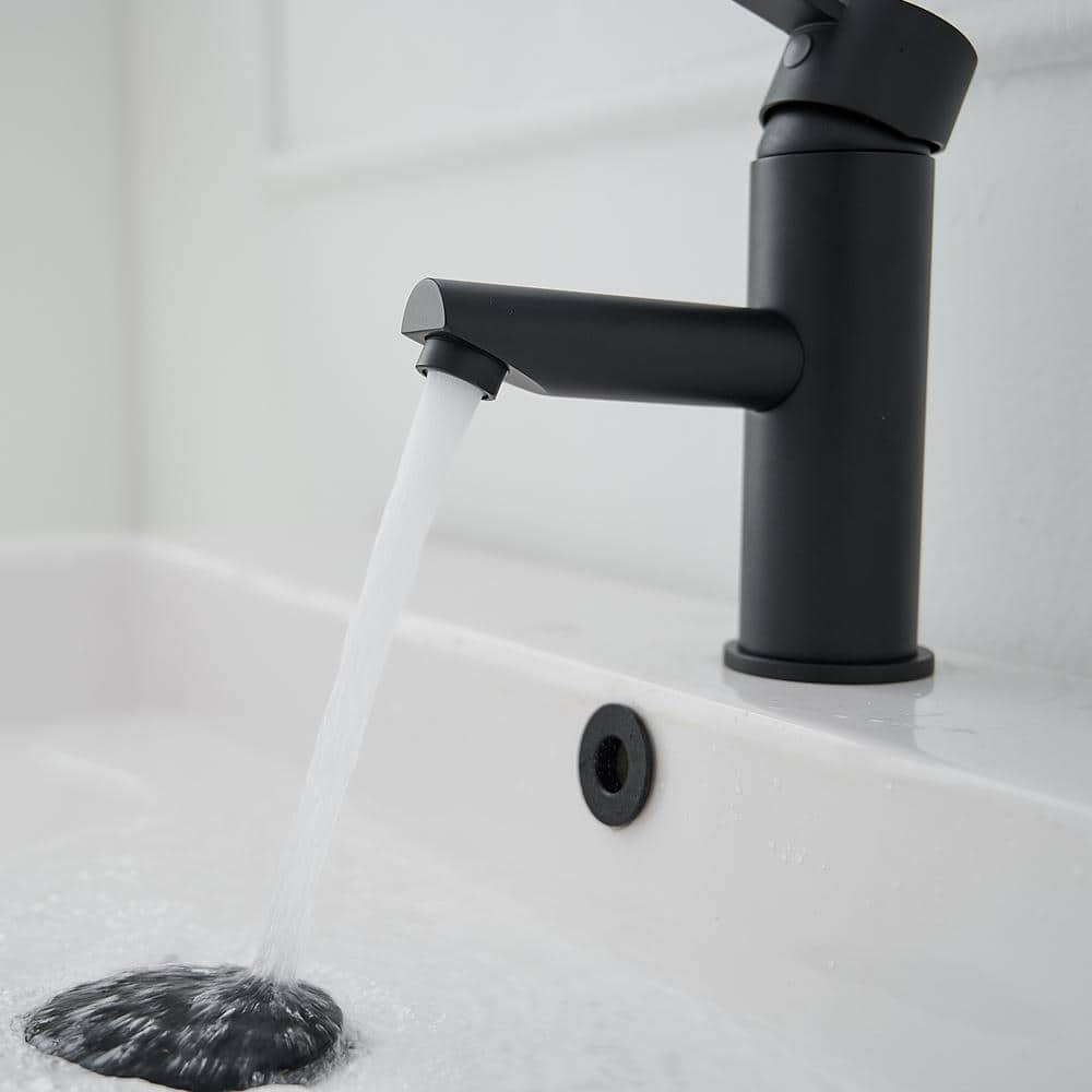 Matte Black Stainless Steel Single-Handle Bathroom Faucet