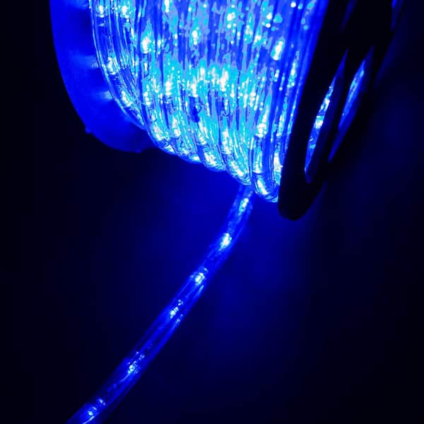 walsport Outdoor 100 ft. 110-Volt Plug-In Blue Color Changing