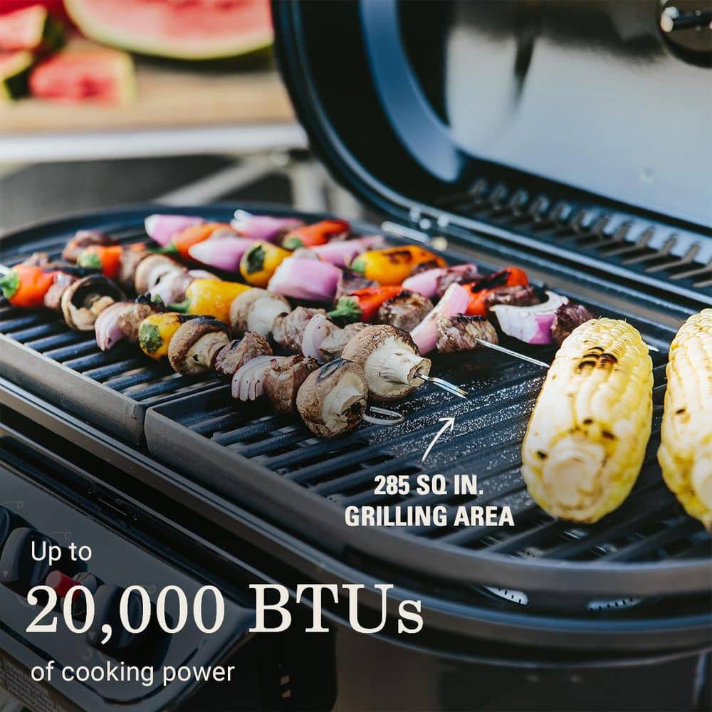 Coleman Blue Portable Propane Gas Grill with Stand