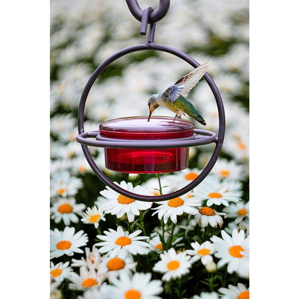 Circular Red Glass and Black Metal Hanging Hummingbird Feeder