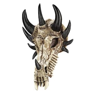 Manchester's Dragon Bones Sculptural Skull Novelty Wall Trophy