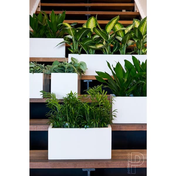 Balcony Extra Large 31.5 in. W Matte White Fiberstone Indoor Outdoor Modern Rectangle Planter