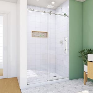 Enigma-X 48 in. W x 76 in. H Frameless Clear Sliding Shower Door in Polished Stainless Steel