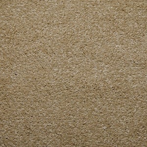 8 in. x 8 in. Texture Carpet Sample - Sweet Dreams II -Color Camel