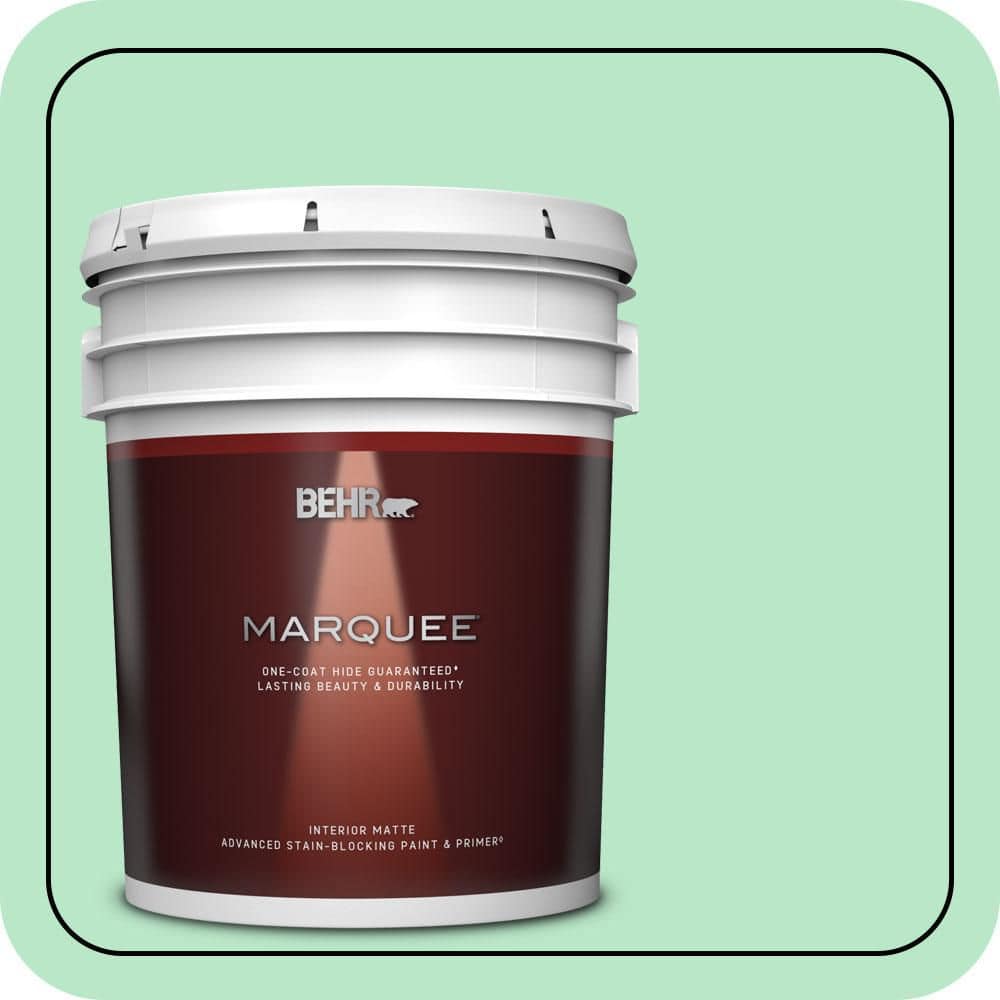 5 gal. #460A-3 Canton Jade Matte Interior Paint & Primer price history on PriceWatchPro