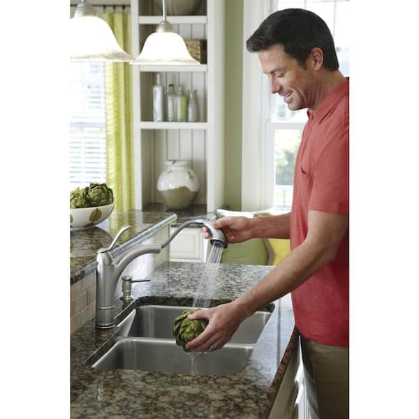 Moen Walden Single Handle Pull Out