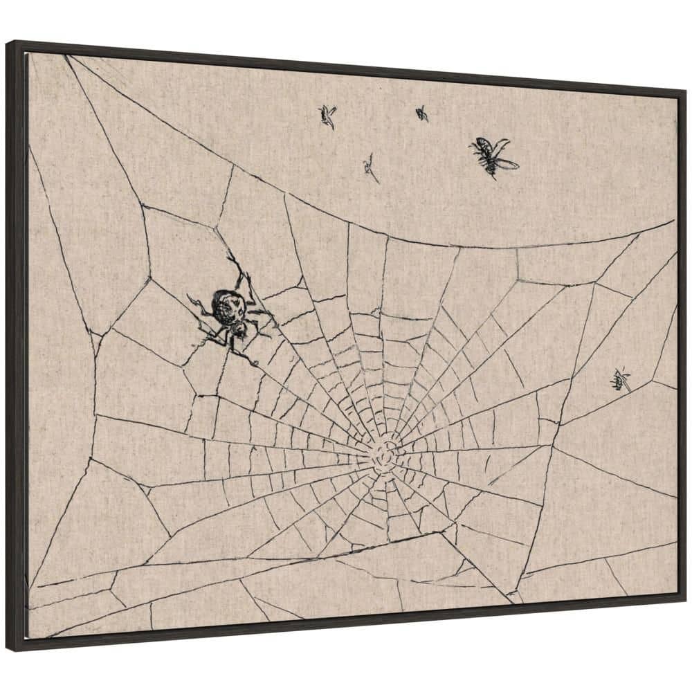 "Sylvie ""Spinne 1905 Hans Thoma"" by Nostalgia Prints Animals Framed Canvas Art Print 28 in. x 38 in." price history on PriceWatchPro