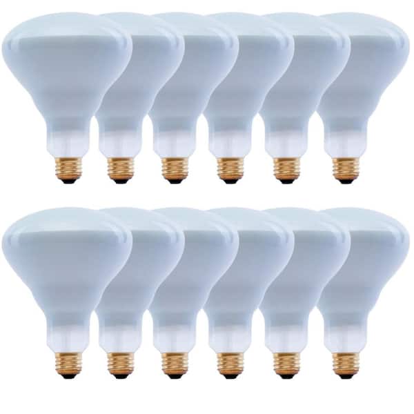 Photo 1 of * missing 2 bulbs *
65-Watt Equivalent BR40 Dimmable E26 Incandescent Light Bulb Soft White
