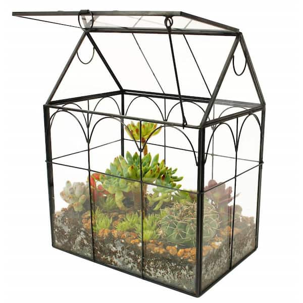 Glass Plant Terrarium with Geometric, Succulent and Air Planter for Home Garden Office Decoration, Black House (1-Pack)
