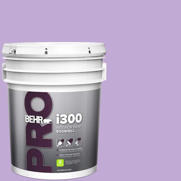 BEHR PRO 5 gal. #MQ4-59 Purple Gladiola Eggshell Interior Paint